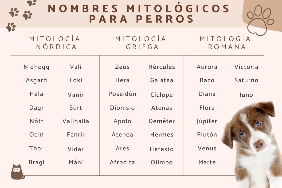 10 nombres de perritas con significado espiritual que te enamorarán