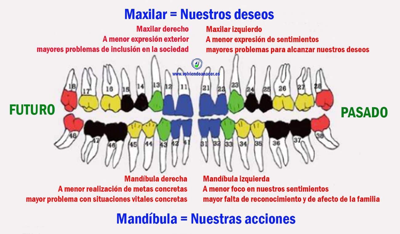 Dolor de muela: el sorprendente significado espiritual que no conocías