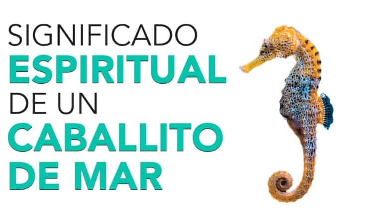 El Asombroso Significado Espiritual del Caballito de Mar que te Dejará sin Palabras