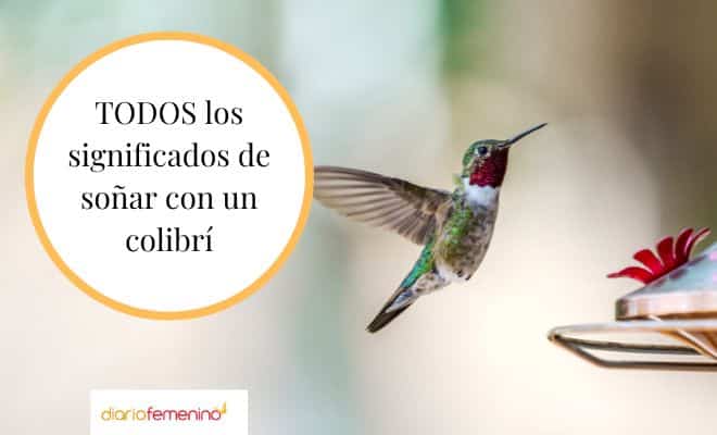 El impactante significado de soñar con colibrí te dejará sin palabras