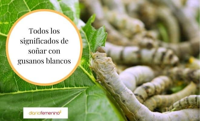 El impactante significado de soñar con gusanos blancos en el piso