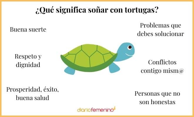 El impactante significado de soñar con tortugas grandes y pequeñas