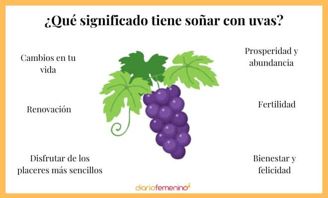 El impactante significado de soñar con uvas moradas que nunca imaginaste