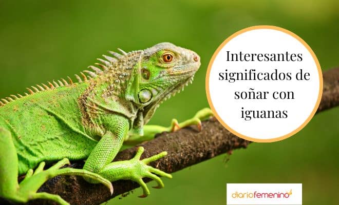 El inesperado significado de soñar con iguanas que te dejará sorprendido