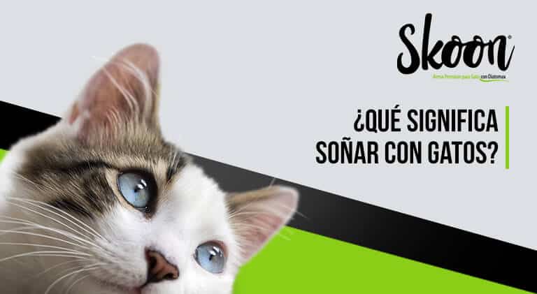 El inquietante significado de soñar con un gato muerto: ¿Qué revela tu subconsciente?