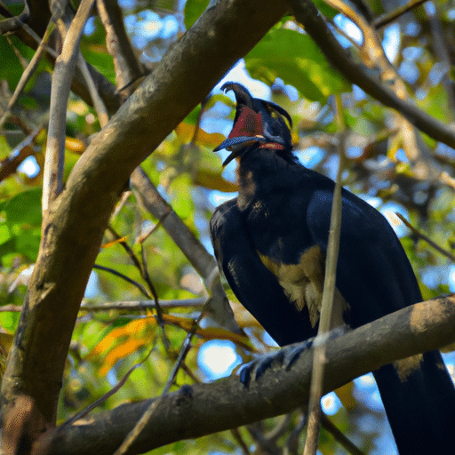 El misterioso encuentro con el chupacabras pájaro: ¡Impactante testimonio!