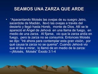 El misterioso significado espiritual de la zarza que te sorprenderá