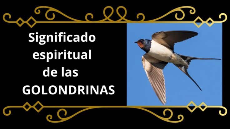 El misterioso significado espiritual de las golondrinas al descubierto