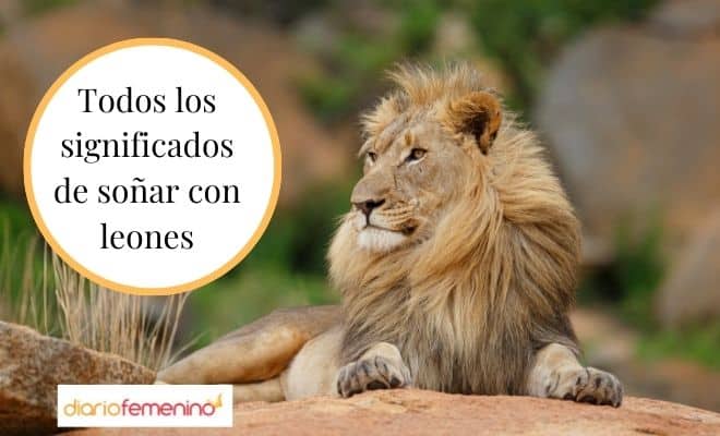 El poderoso significado espiritual de soñar con leones