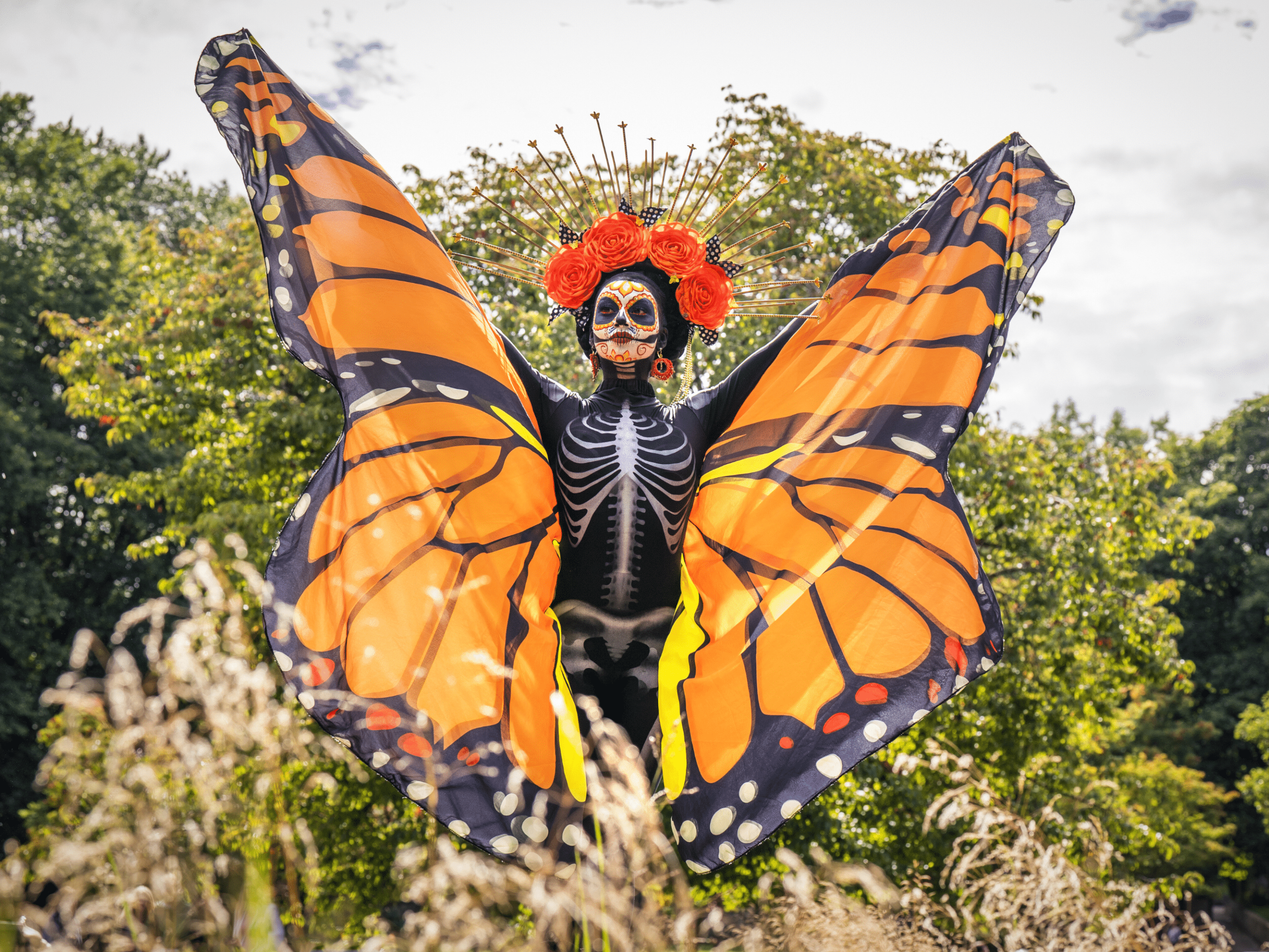 El Profundo Significado Espiritual detrás de la Mariposa Monarca