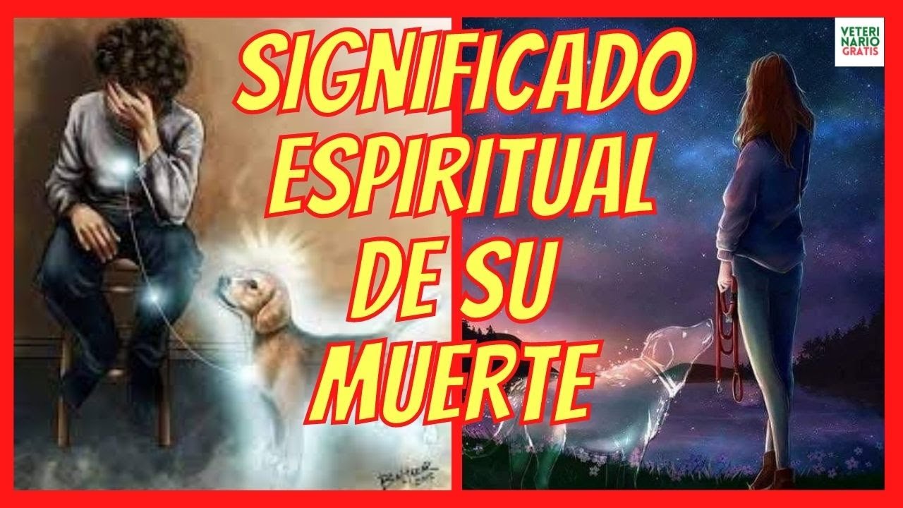 El profundo significado espiritual detrás de la muerte de un perro: ¡No te lo puedes perder!