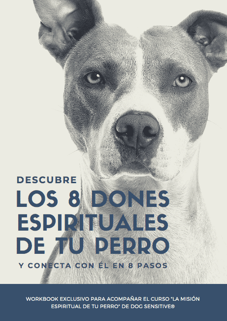 El profundo significado espiritual detrás de la presencia de los perros en tu vida