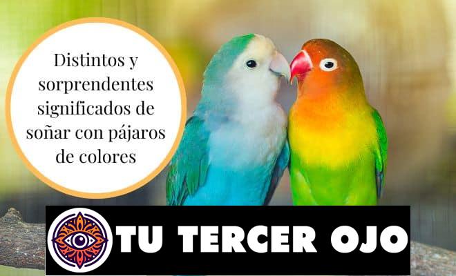 El significado de soñar con pájaros de colores que cambiará tu perspectiva de la vida