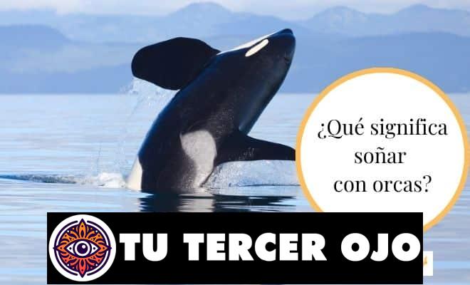 El significado oculto de soñar con orcas que debes conocer