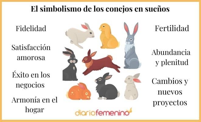 El sorprendente significado de soñar con conejos que cambiará tu perspectiva