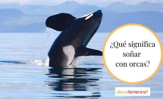 El sorprendente significado de soñar con orcas que nunca imaginaste