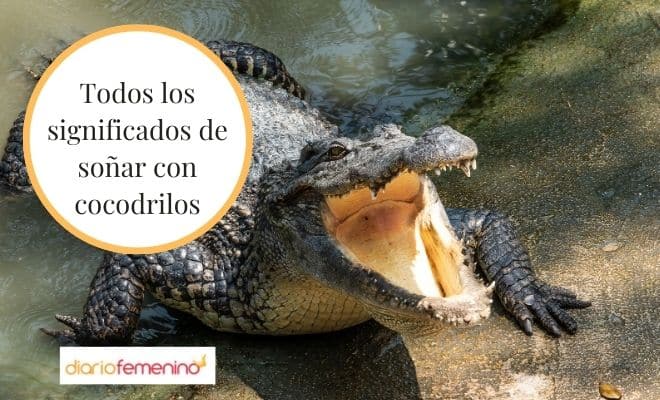 El sorprendente significado de soñar con un cocodrilo pequeño que nadie te ha contado