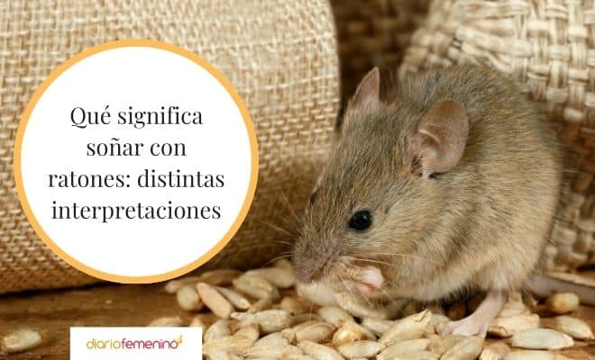 El sorprendente significado detrás de soñar con ratones pequeños