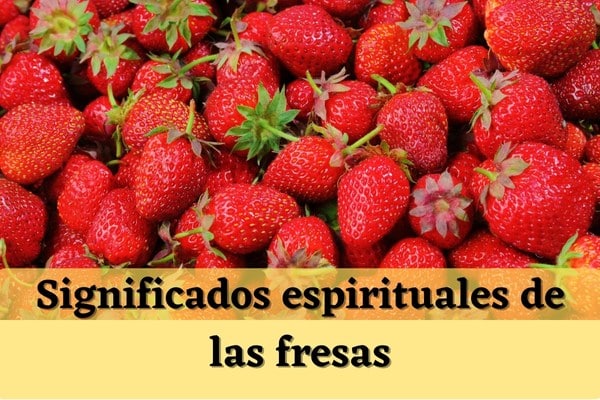 El sorprendente significado espiritual de la fresa que jamás imaginaste