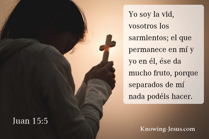 El Verdadero Significado Espiritual Según la Biblia que Debes Conocer