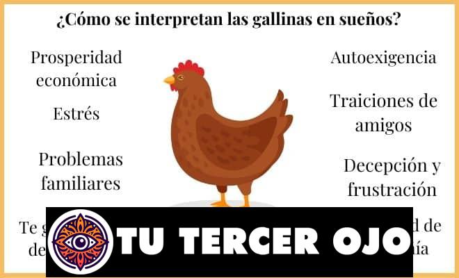 Interpretación de sueños: Significado de soñar con gallina