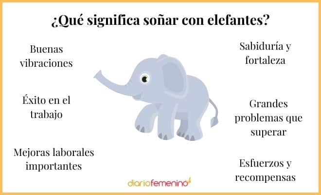 Lo que revela el significado de soñar con elefantes te dejará impactado