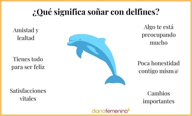 Los delfines en tus sueños: ¿Qué significan realmente?