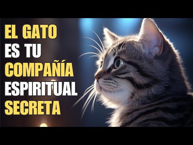 Los gatos y su profundo significado espiritual: Conoce su conexión mística