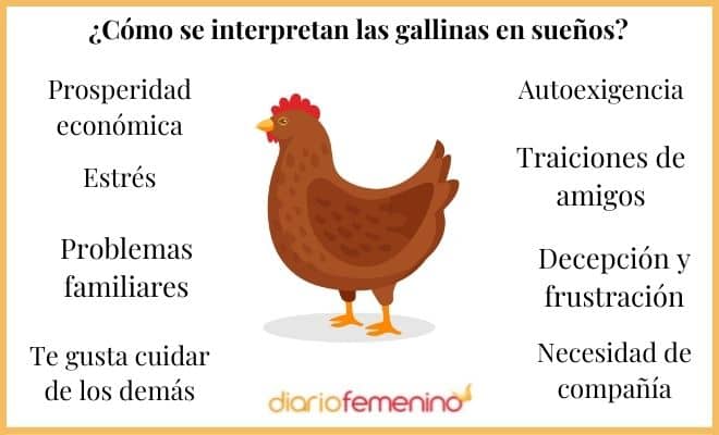 ¿Qué significado tiene soñar con gallinas? ¡Descúbrelo aquí!