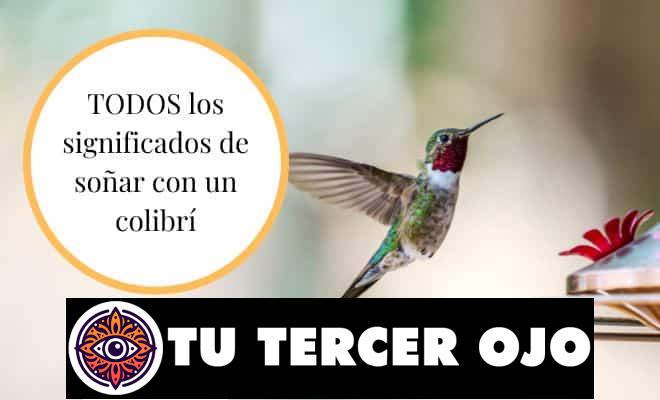 Significado de soñar con un colibrí: ¡Sorprendentes revelaciones!