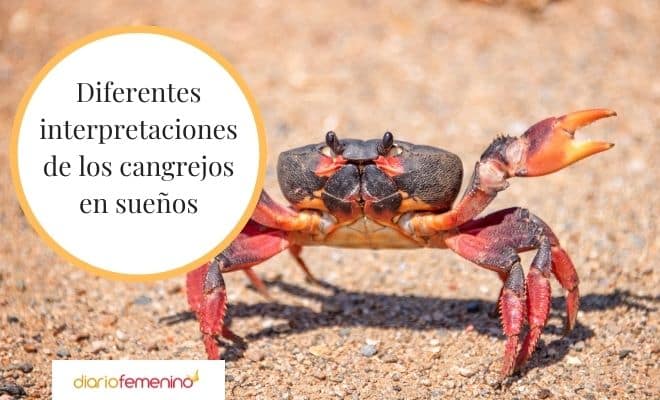 Sorprendente significado de soñar con cangrejos que cambiará tu perspectiva