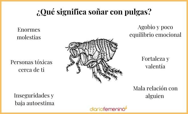 Sorprendente significado de soñar con pulgas que te dejará sin aliento